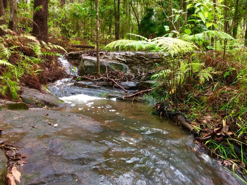 TinbeerwahNoosa Hinterland Retreatアパートメント エクステリア 写真